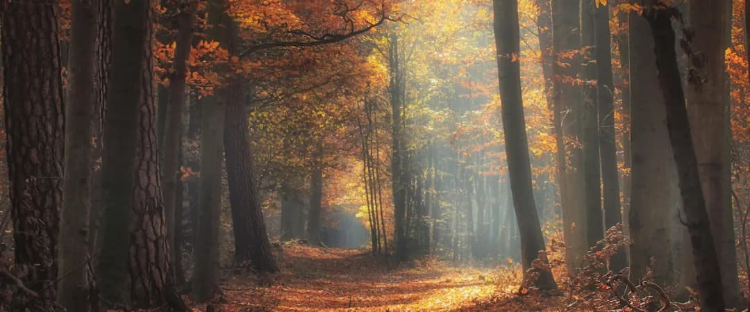 Tleń atrakcje: odkryj ukryte skarby natury i kultury w regionie