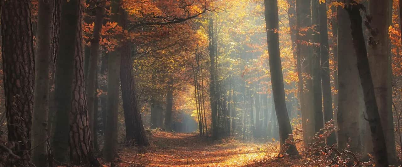 Tleń atrakcje: odkryj ukryte skarby natury i kultury w regionie