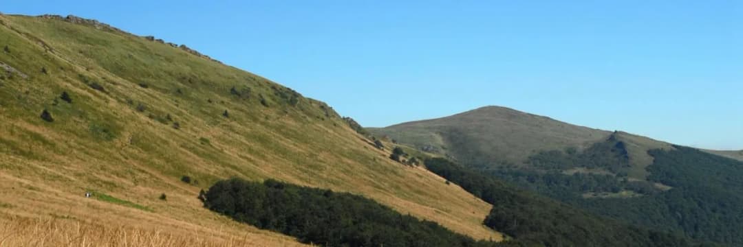 Tarnica gdzie nocleg - najlepsze opcje w okolicy, które musisz znać