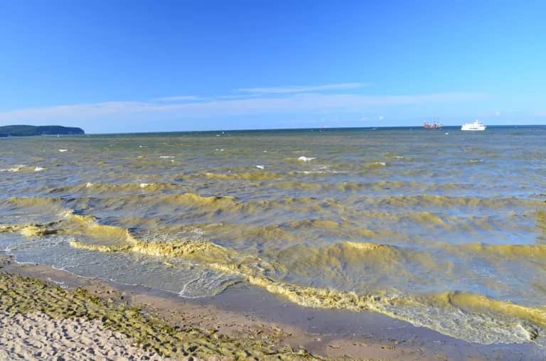 Gdzie sinice w Bałtyku? Sprawdź, gdzie nie warto się kąpać