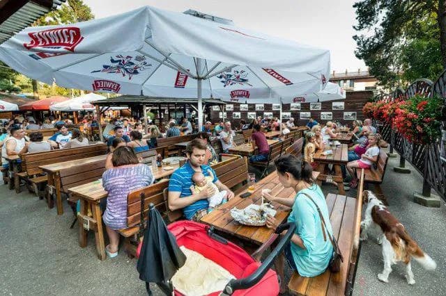 Gdzie zjeść w Jastrzębiej Górze? Odkryj najlepsze restauracje i smaki