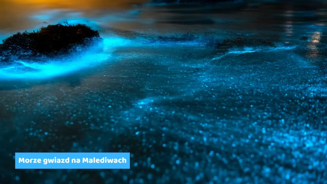 Morze gwiazd gdzie jest: Najlepsze miejsca na Malediwach do zobaczenia