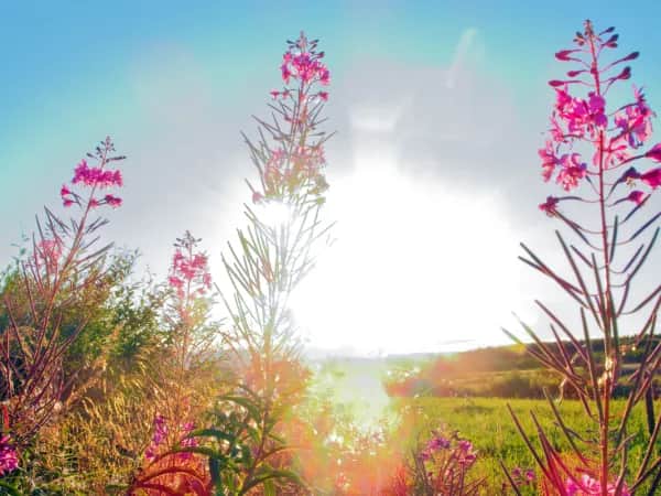 Jaka pogoda w Ustroniu? Sprawdź, co czeka na Ciebie dzisiaj