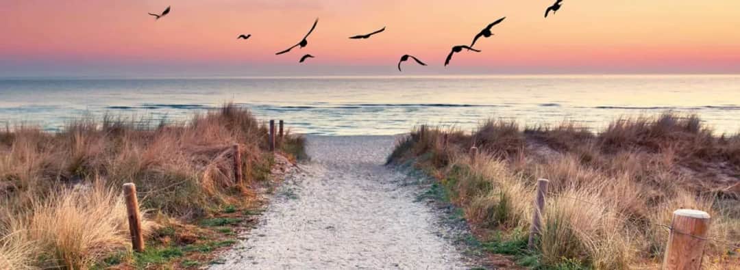 Jakim morzem jest Bałtyk? Odkryj jego unikalne cechy i zagrożenia