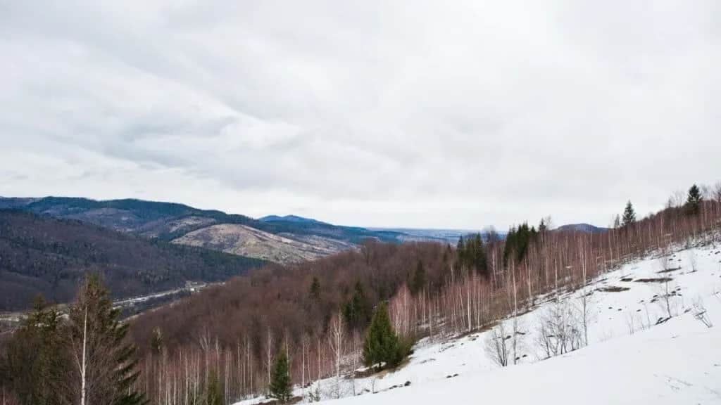 Atrakcje w Majdanie Bieszczady, które musisz zobaczyć latem i zimą