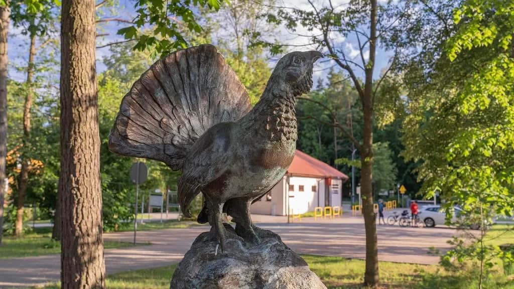 Roztocze mapa atrakcji – odkryj ukryte skarby regionu i planuj wycieczkę