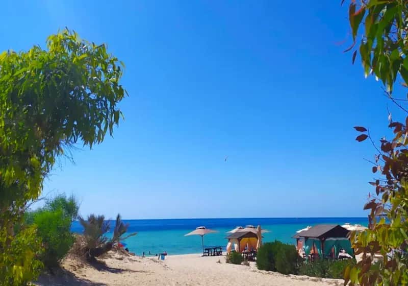 Dżerba jakie morze? Odkryj, co kryje ta piękna wyspa