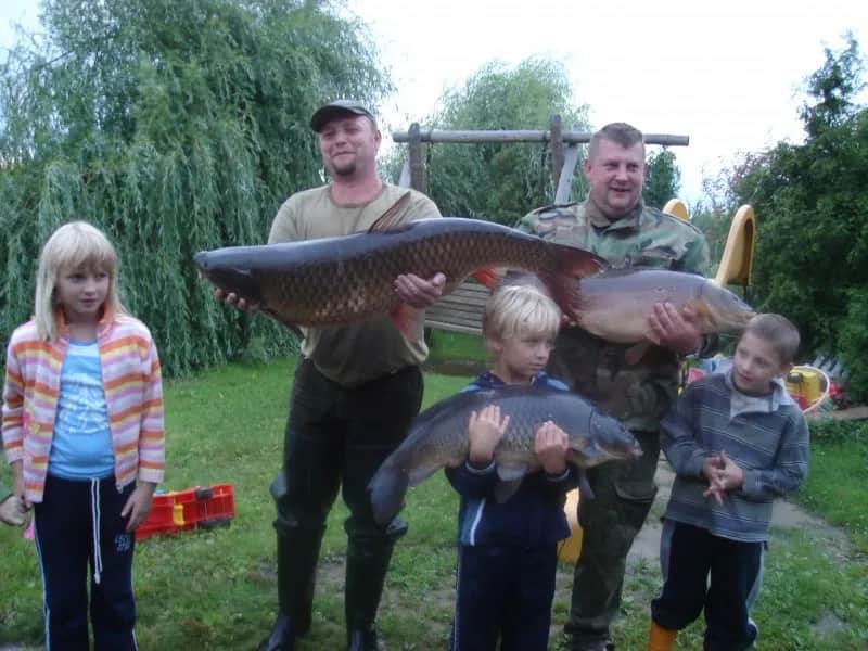 Gdzie na ryby z noclegiem Wielkopolska - najlepsze miejsca na relaks i wędkowanie