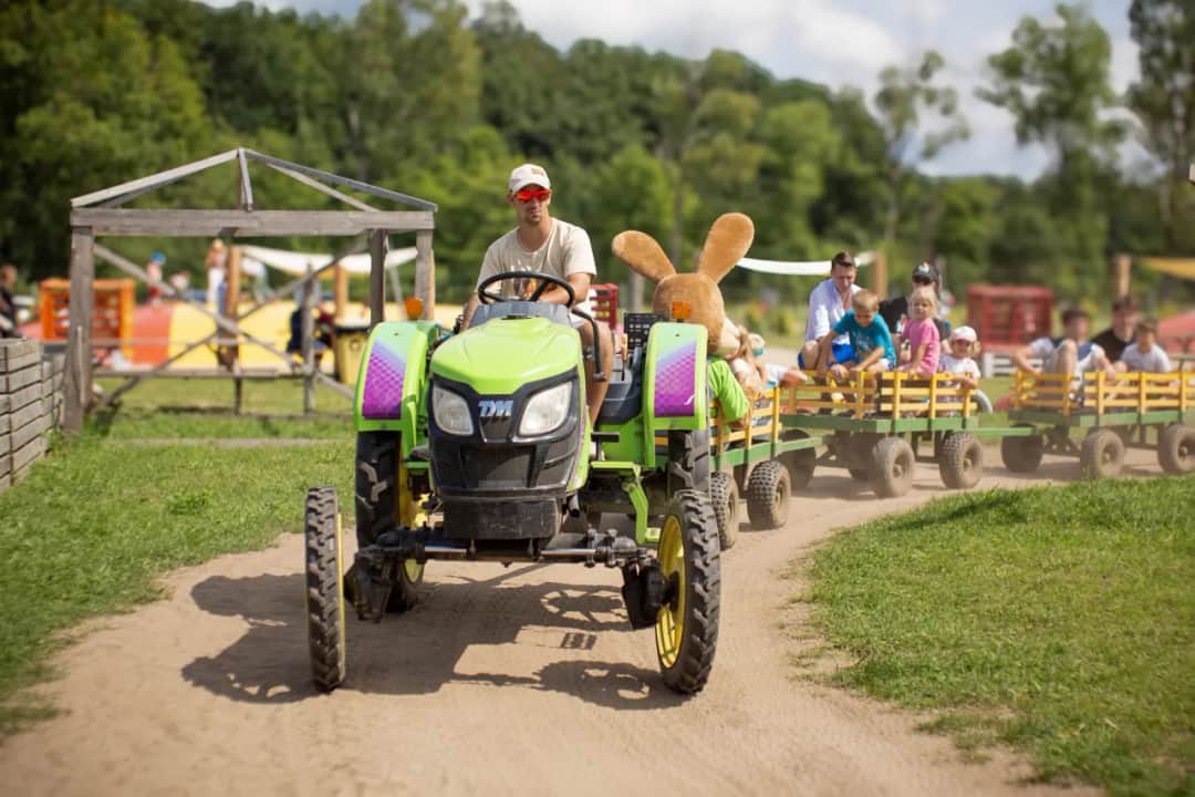 Sztutowo atrakcje – odkryj niezwykłe miejsca, które warto zobaczyć